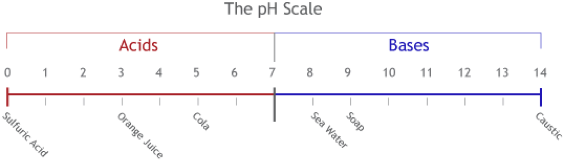Neutralization - pH Scale