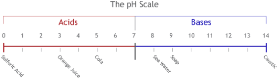 Neutralization - pH Scale